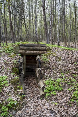 Foto de Antiguo búnker de madera de la Segunda Guerra Mundial bajo tierra en el bosque. - Imagen libre de derechos