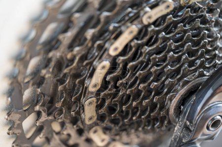 Detail of twelve speed cassette with chain. On a mountain bike. Blurred background.
