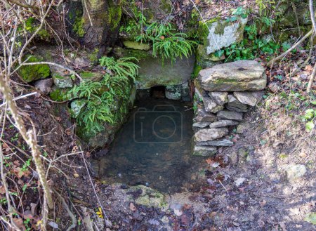 Photo for A stone well with a spring in the forest. Blurred foreground. - Royalty Free Image