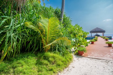 Dichte grüne tropische Pflanzen am Strand. Ein Holzsteg führt über den Sandstrand zu einem hölzernen Pavillon am Meer. Sonnenscheindauer.
