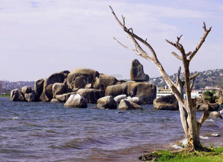 Granite blocks of Bismarck Rock with a leafless tree in the foreground and Lake Victoria in the background
