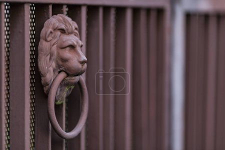Photo for A lion head on a etal gate entrance to a house in Bad Radkersburg Austria - Royalty Free Image