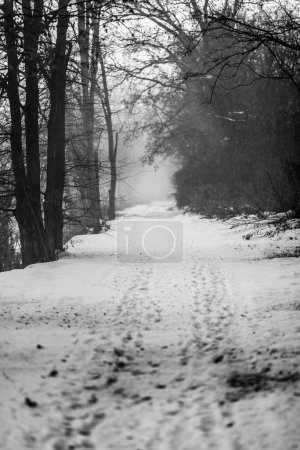 Téléchargez les photos : Une belle voie wlka ou un sentier de course fait pour les gens près d'une rivière dans ma ville natale Gornja Radgona en Slovénie. La photo a été prise un matin de décembre froid endormi dans l'hiver 2023 - en image libre de droit