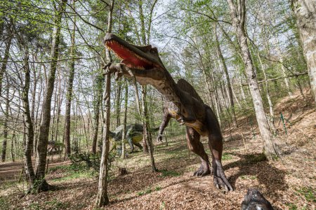 A spinosaurus in wildlife forest It's a dinosaur replica in nature