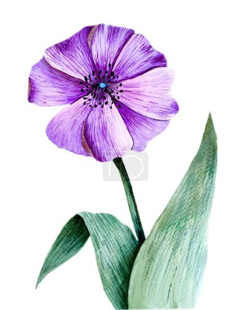Photo for Watercolor illustration. Watercolor drawing. Purple watercolor flower - Royalty Free Image