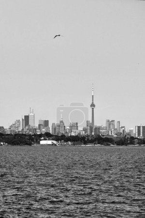Foto de Vista de la ciudad desde el lago en blanco y negro - Imagen libre de derechos