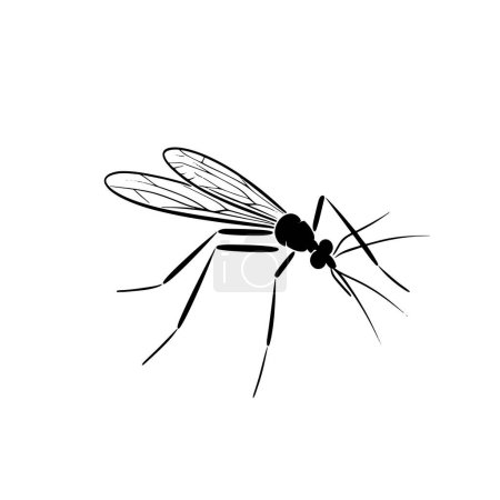 Illustration for Mosquito aedes aegypti vector illustration Vector Illustrative for your work's logos, T-shirt merchandise, stickers, label designs, posters, greeting cards, and advertising for business entities or brands. - Royalty Free Image