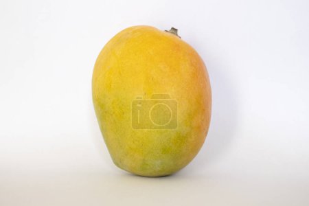 Frische und saftige reife Mango auf weißem Hintergrund