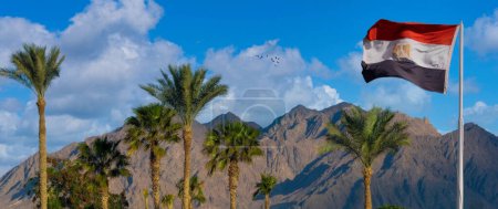 Photo for A vibrant Egyptian flag waves in Sharm el Sheikh, set against a clear sky, palm trees, and the Sinai Peninsulas arid mountains, capturing the regions natural and resort beauty. - Royalty Free Image