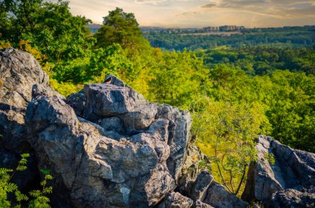 Am späten Nachmittag taucht die Sonne einen felsigen Felsvorsprung und üppiges Grün in eine ruhige, natürliche Umgebung in der Nähe von Prag, ideal zum Wandern und Genießen der ruhigen tschechischen Landschaft.