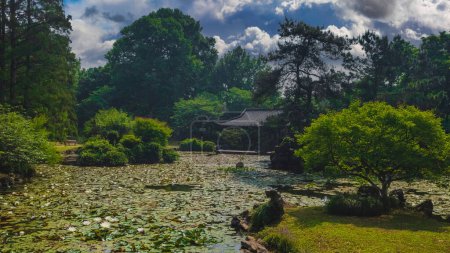 Sereno jardín de Asia Oriental con estanque lleno de loto, pabellón tradicional y exuberante vegetación, bajo un cielo parcialmente nublado, que invita a la tranquilidad y la reflexión en un entorno natural.