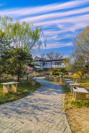 Heitere Parkszene mit Kopfsteinpflaster, die zu einem weißen traditionellen Gebäude mit dunklem Dach führt, umgeben von üppigem Grün und blühenden Kirschblüten, Ostasien.