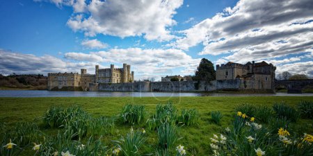 Téléchargez les photos : Château de Leeds dans le Kent Angleterre Royaume-Uni au printemps avec des jonquilles et des fleurs en fleurs sur les rives des douves - en image libre de droit