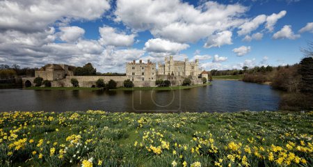 Téléchargez les photos : Château de Leeds dans le Kent Angleterre Royaume-Uni au printemps avec des jonquilles et des fleurs en fleurs sur les rives des douves - en image libre de droit
