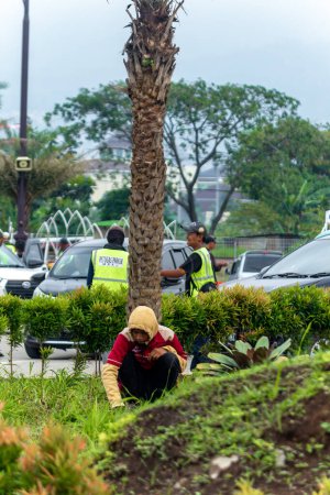 Téléchargez les photos : Bandung, indonesia, 21 fév 2024 : Jardinage urbain : Un ouvrier s'occupe des espaces verts au milieu du paysage urbain - en image libre de droit