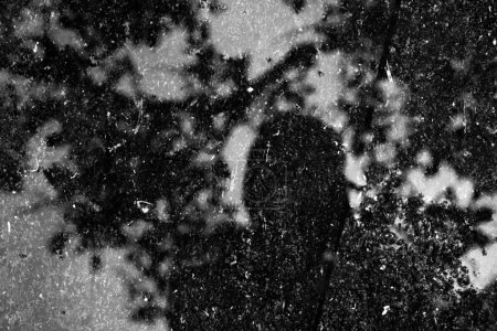 Foto de Autorretrato en el reflejo del suelo húmedo y las hojas de los árboles. - Imagen libre de derechos