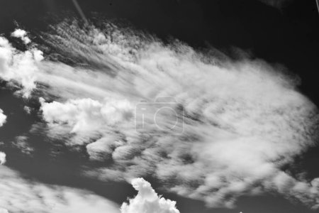 Foto de Fondo con nubes en blanco y negro. textura esponjosa. - Imagen libre de derechos