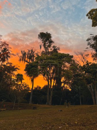 Photo for Sunset background with red and orange sky in Itagui, Antioquia, Colombia. - Royalty Free Image