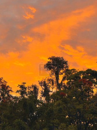 Photo for Sunset background with red and orange sky in Itagui, Antioquia, Colombia. - Royalty Free Image