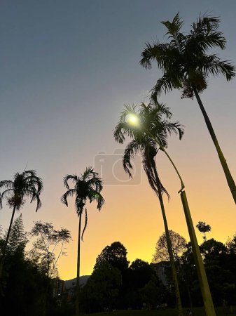 Sonnenuntergang im Hintergrund mit Palmen und buntem Himmel. Medellin, Antioquia, Kolumbien