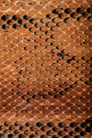 Foto de Marrón serpiente piel textura fondo moda bolso - Imagen libre de derechos