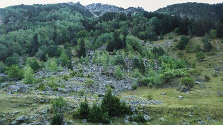 Foto de Boi, Valle de Aran, España, Europa, bosques, ríos, cascadas, montañas. Foto de alta calidad - Imagen libre de derechos