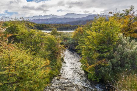Foto de Parque Nacional Tierra del Fuego, Ushuaia, Argentina - Imagen libre de derechos