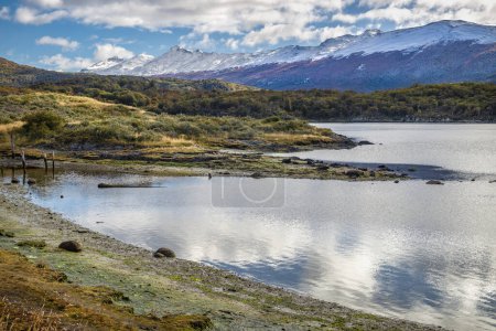 Photo for Tierra del Fuego National Park, Ushuaia, Argentina - Royalty Free Image
