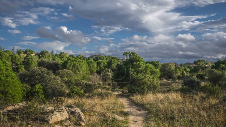 Téléchargez les photos : Atardecer en la sierra de Madrid, Guadarrama, Espagne, Europe - en image libre de droit