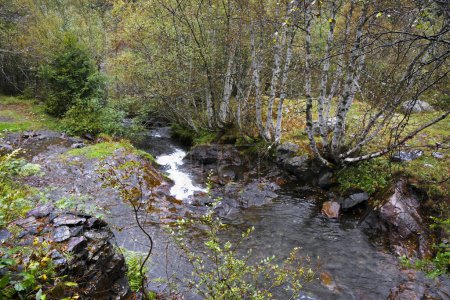 Foto de Arties, Valle de Aran, España, bosques, ríos, cascadas, montañas - Imagen libre de derechos