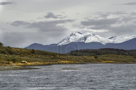 Téléchargez les photos : Harberton Ranch, Tierra del Fuego, Usuahia, Beagle Channel, Argentine. Photo de haute qualité - en image libre de droit