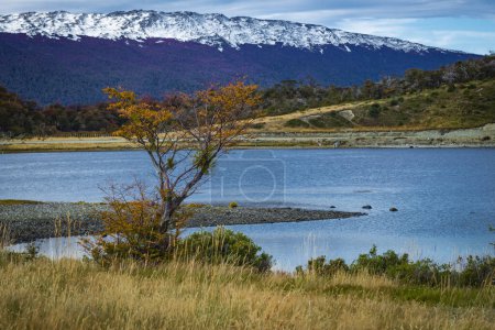 Foto de Harberton Ranch, Tierra del Fuego, Usuahia, Canal Beagle, Argentina. Foto de alta calidad - Imagen libre de derechos