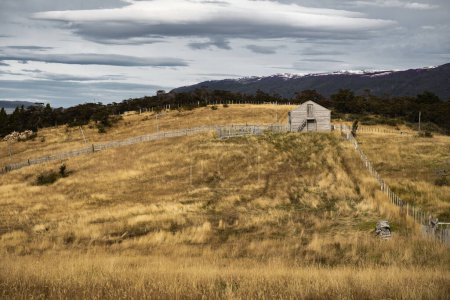 Téléchargez les photos : Harberton Ranch, Tierra del Fuego, Usuahia, Beagle Channel, Argentine. Photo de haute qualité - en image libre de droit