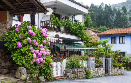 Foto de Santianes, un pueblo de Asturias, España. Foto de alta calidad - Imagen libre de derechos