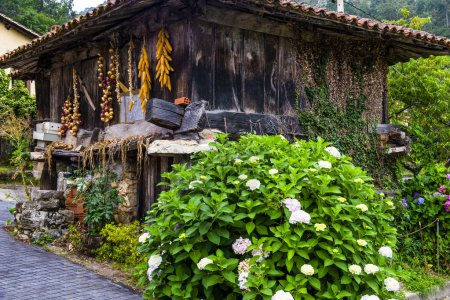 Foto de Santianes, un pueblo de Asturias, España. Foto de alta calidad - Imagen libre de derechos
