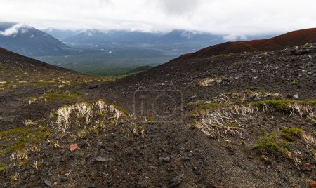 Foto de En el mismo volcán Osorno - Chile. Foto de alta calidad - Imagen libre de derechos