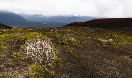 Téléchargez les photos : Dans le même volcan Osorno - Chili. Photo de haute qualité - en image libre de droit