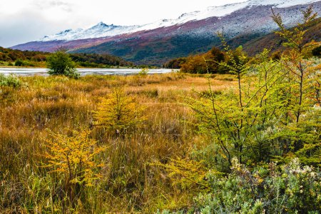 Foto de Parque Nacional Tierra del Fuego, Patagonia, Argentina. Foto de alta calidad - Imagen libre de derechos