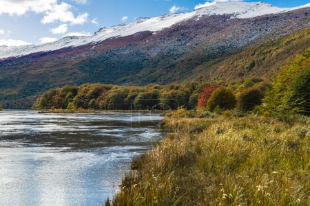 Foto de Parque Nacional Tierra del Fuego, Patagonia, Argentina. Foto de alta calidad - Imagen libre de derechos