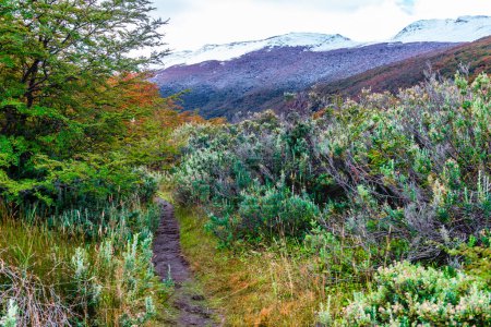 Téléchargez les photos : Parc national de la Terre de Feu, Patagonie, Argentine. Photo de haute qualité - en image libre de droit
