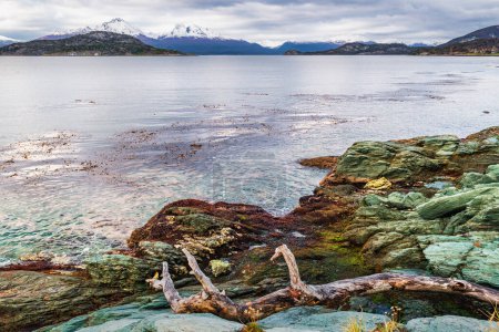 Photo for Bahia Ensenada Zaratiegui, Tierra del Fuego National Park, Patagonia, Argentina. High quality photo - Royalty Free Image