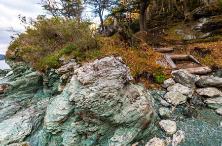 Téléchargez les photos : Bahia Ensenada Zaratiegui, Parc national de la Terre de Feu, Patagonie, Argentine. Photo de haute qualité - en image libre de droit