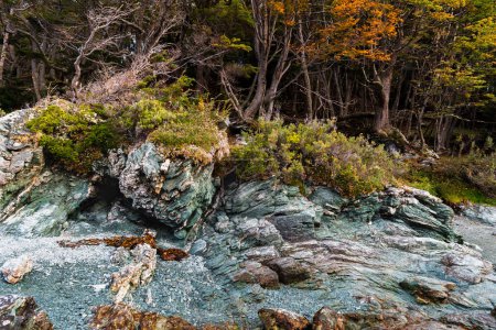 Téléchargez les photos : Bahia Ensenada Zaratiegui, Parc national de la Terre de Feu, Patagonie, Argentine. Photo de haute qualité - en image libre de droit