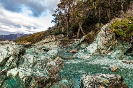 Bahía Ensenada Zaratiegui, Parque Nacional Tierra del Fuego, Patagonia, Argentina. Foto de alta calidad