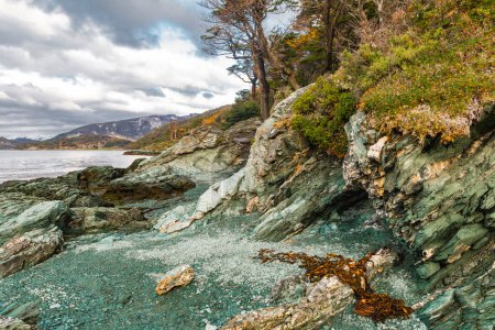 Foto de Bahía Ensenada Zaratiegui, Parque Nacional Tierra del Fuego, Patagonia, Argentina. Foto de alta calidad - Imagen libre de derechos