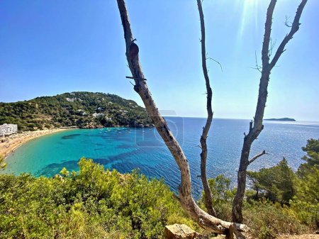 Téléchargez les photos : La merveilleuse île d'Ibiza, Îles Baléares, Espagne. Photo de haute qualité - en image libre de droit
