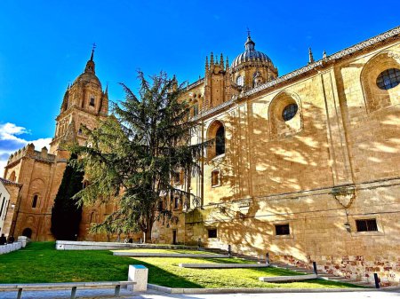 Photo for The astonishing city of Salamanca, Spain. High quality photo - Royalty Free Image