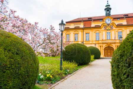 Liben Castle in Rococo style in spring with magnolia tree. Castle with clock. High quality photo