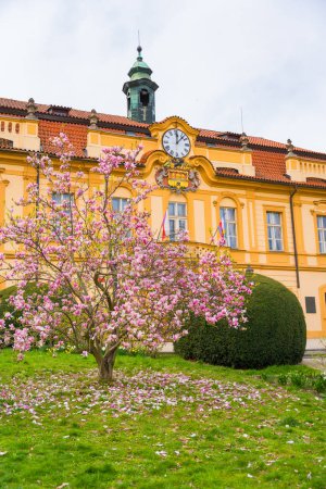Schloss Liben im Rokoko-Stil im Frühling mit Magnolienbaum. Burg mit Uhr. Vertikales Foto. Hochwertiges Foto