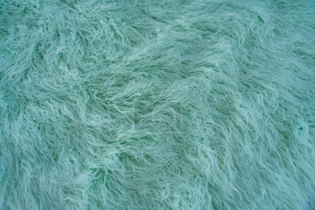 Fluffy artificial wavy fur, resembling sheep wool, in a trendy mint color. Copy space and empty place for text. High quality photo
